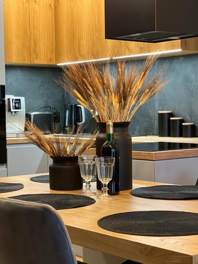 Family & Business Elegant Apartments, Kadzielnia, Wdk, Stadion Korona -1 Bedroom, Terrace, Garage, New! Kielce Luaran gambar