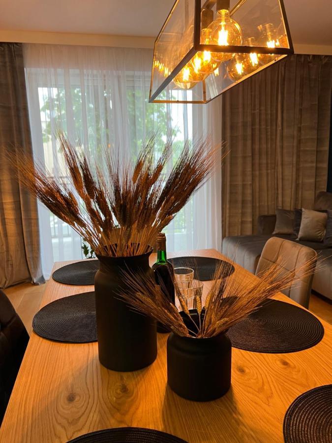 Family & Business Elegant Apartments, Kadzielnia, Wdk, Stadion Korona -1 Bedroom, Terrace, Garage, New! Kielce Luaran gambar